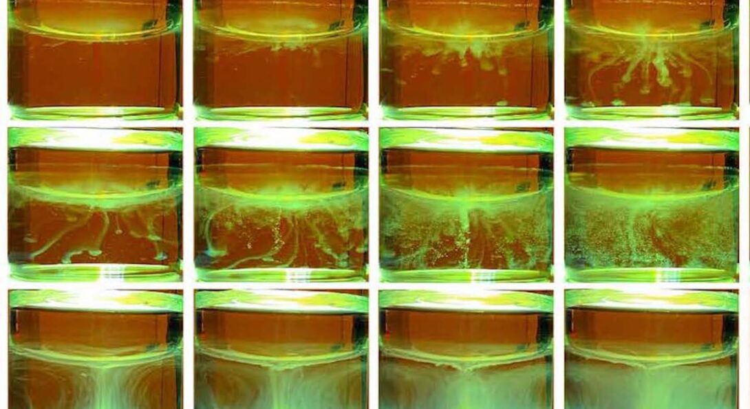 In a sequence of 12 images, light green precipitate forms in clear fluid against a dark orange background.